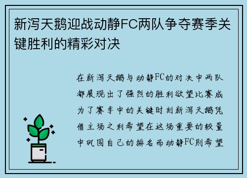 新泻天鹅迎战动静FC两队争夺赛季关键胜利的精彩对决