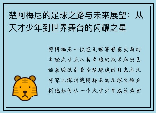 楚阿梅尼的足球之路与未来展望：从天才少年到世界舞台的闪耀之星