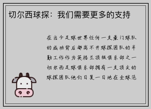 切尔西球探：我们需要更多的支持
