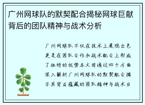 广州网球队的默契配合揭秘网球巨献背后的团队精神与战术分析