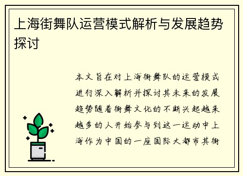 上海街舞队运营模式解析与发展趋势探讨